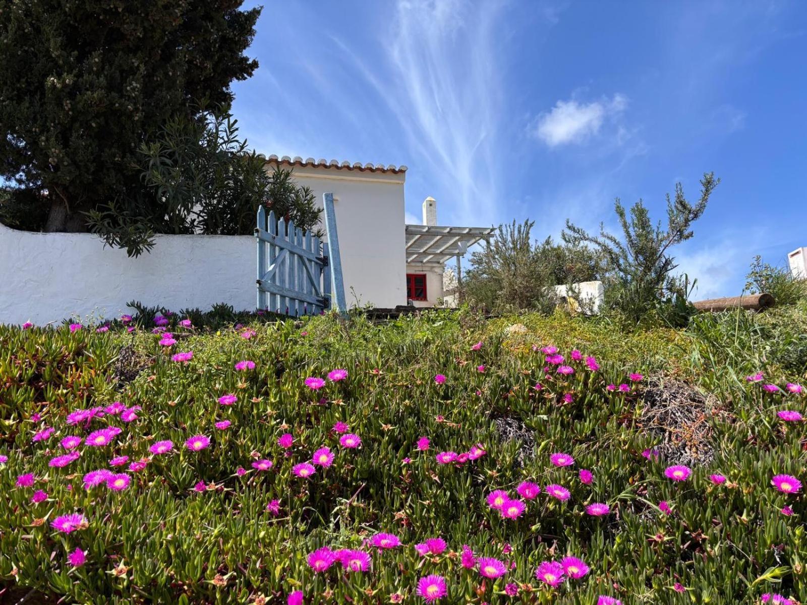 Casa Pedralva Villa วีลา ดู บิสโป ภายนอก รูปภาพ